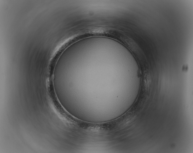 X0000111640728200907311251