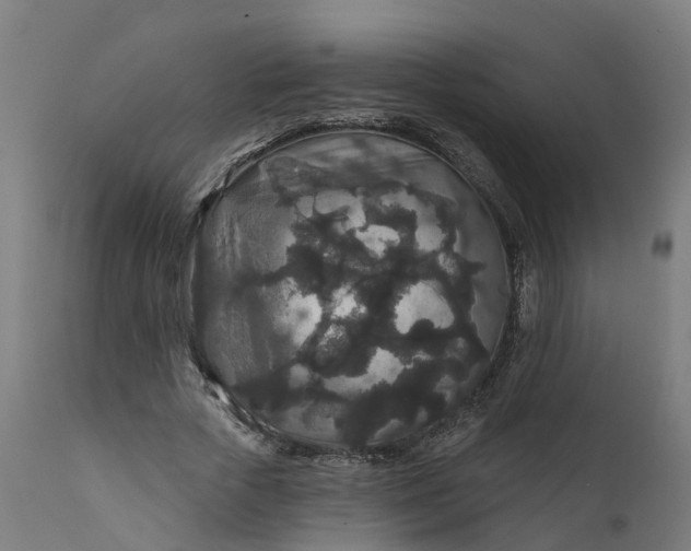 X0000111640729200907311251