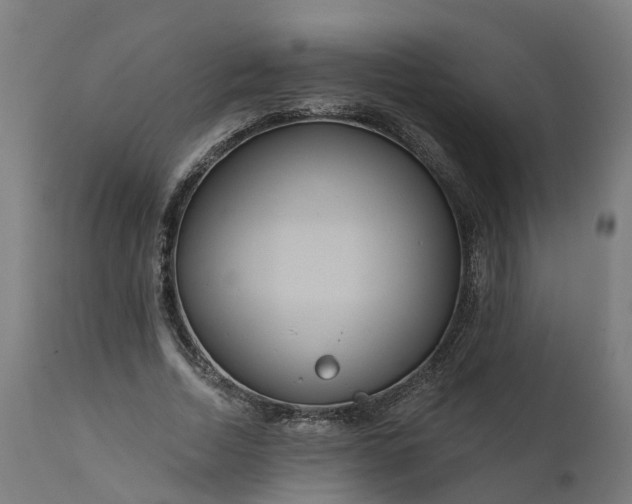 X0000111640730200907311251