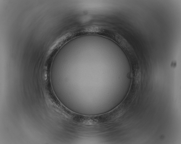 X0000111640731200907311251