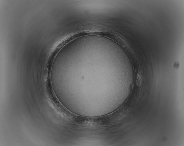 X0000111640732200907311251