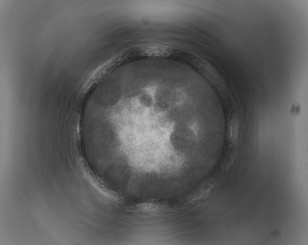 X0000111640733200907311251