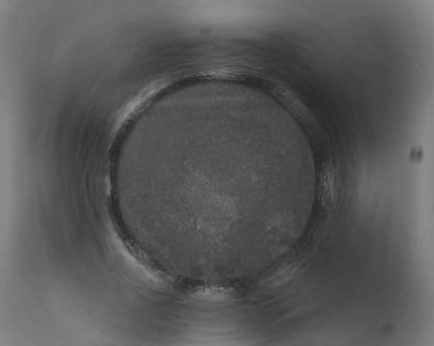 X0000111640734200907311251