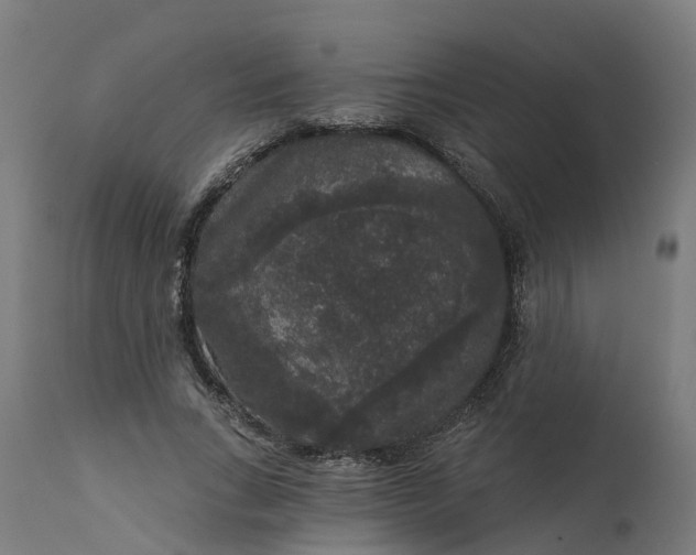 X0000111640735200907311251