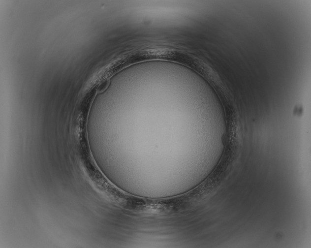 X0000111640736200907311251