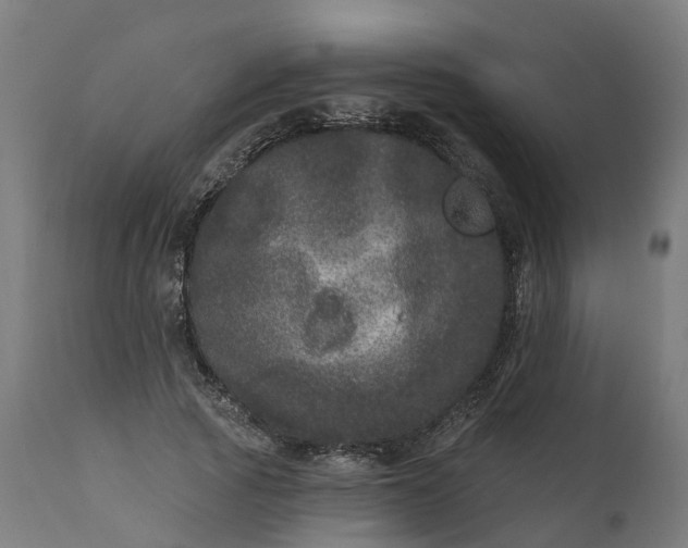 X0000111640737200907311251