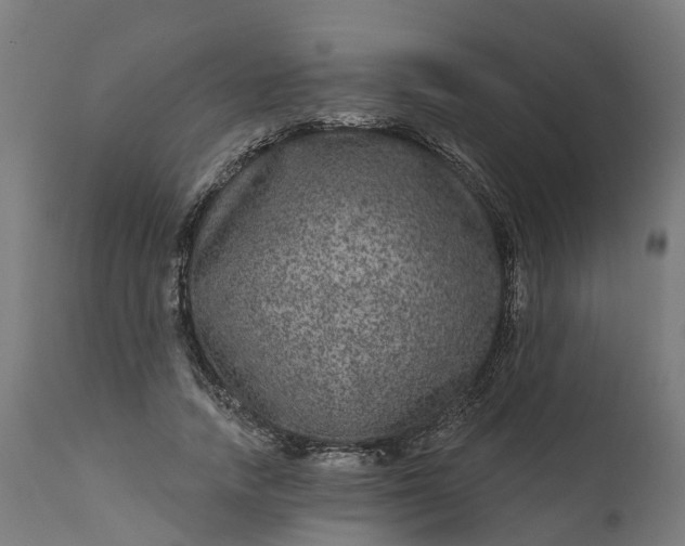 X0000111640738200907311252