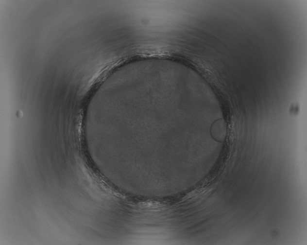 X0000111640739200907311252