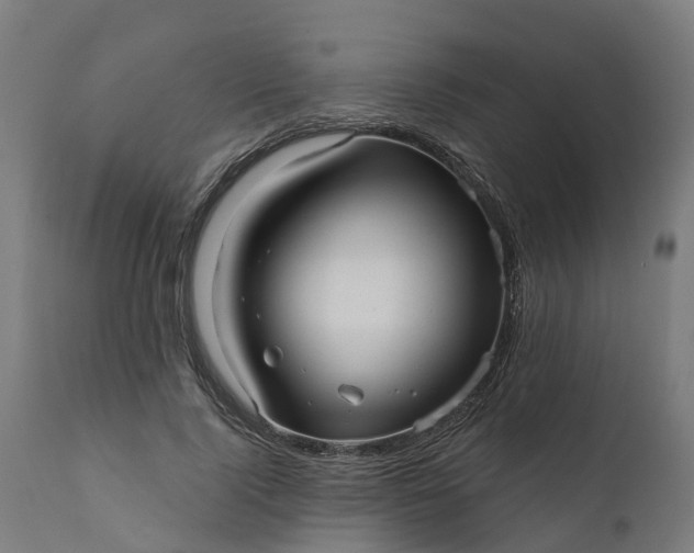 X0000111640740200907311252