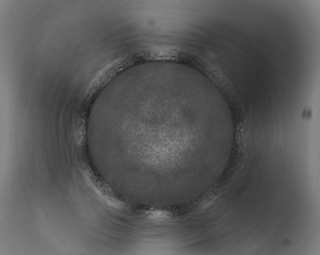 X0000111640741200907311252