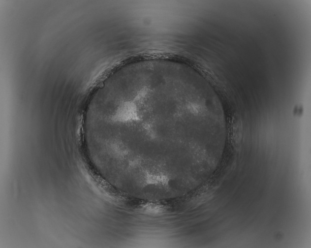 X0000111640742200907311252