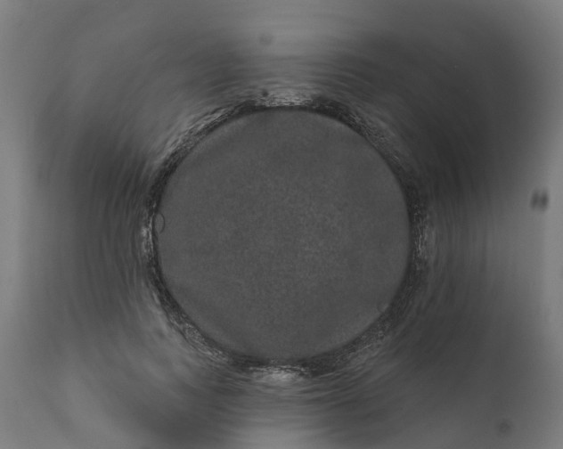 X0000111640743200907311252