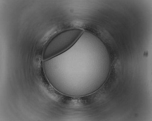 X0000111640744200907311252