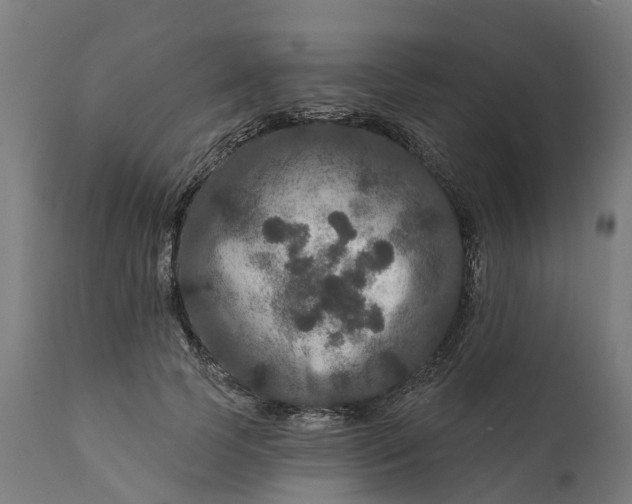 X0000111640745200907311252