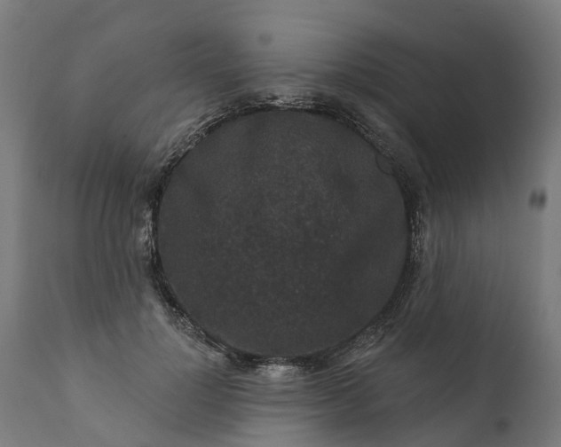 X0000111640748200907311252