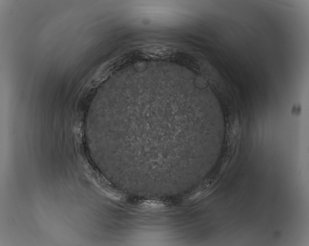 X0000111640749200907311252