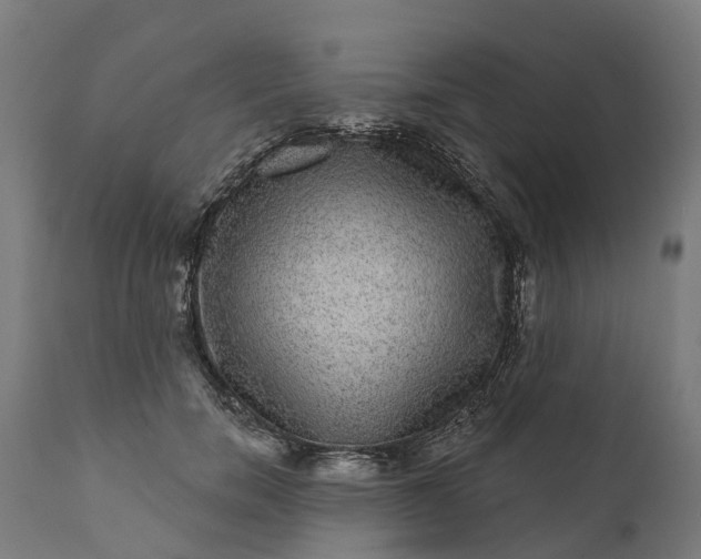 X0000111640750200907311252