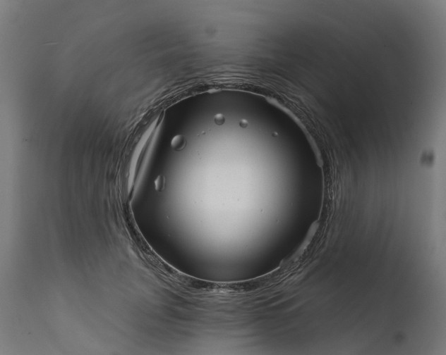 X0000111640751200907311252