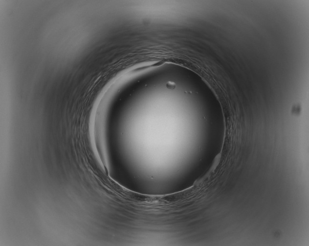 X0000111640752200907311252