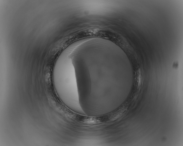 X0000111640754200907311252