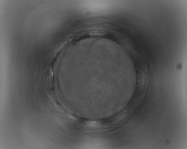 X0000111640755200907311252