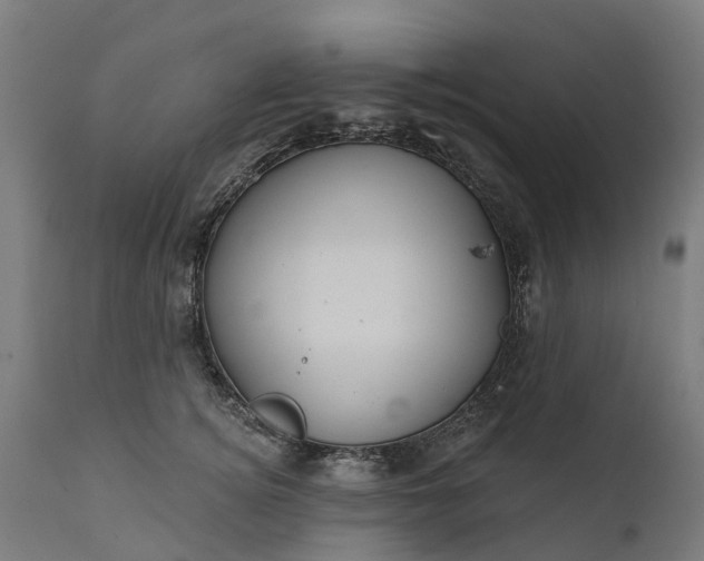 X0000111640756200907311252