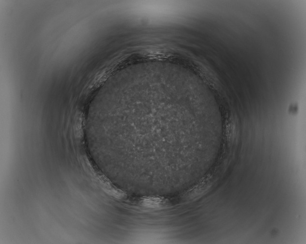 X0000111640757200907311252