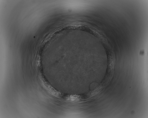 X0000111640758200907311252