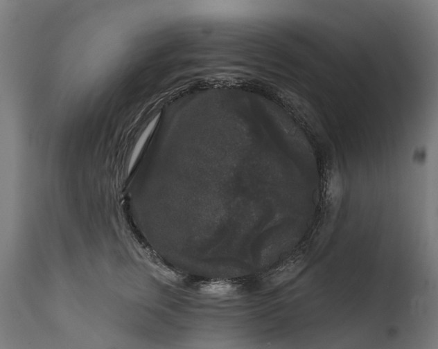 X0000111640759200907311252