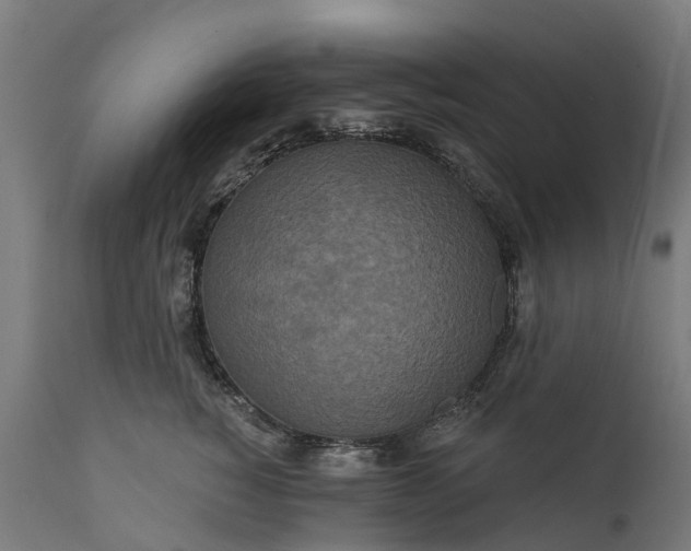 X0000111640760200907311252