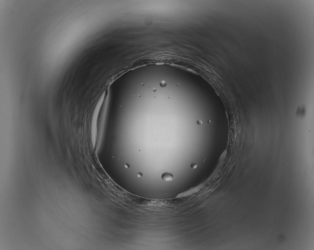 X0000111640762200907311252