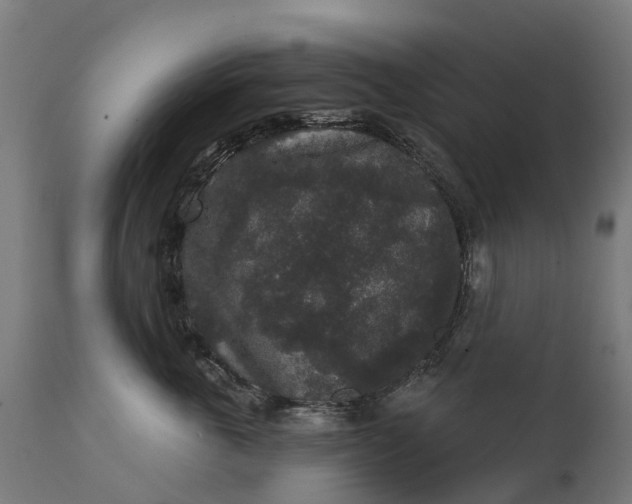 X0000111640763200907311252