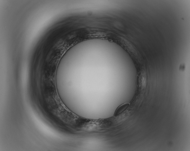 X0000111640764200907311252