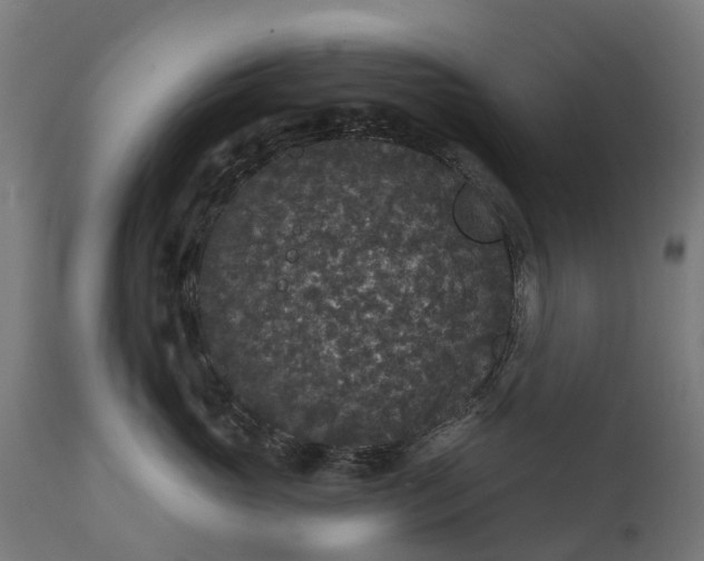 X0000111640765200907311252