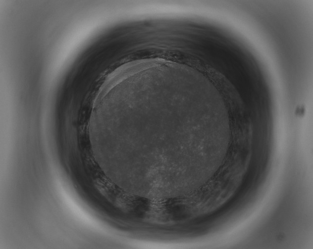 X0000111640766200907311252