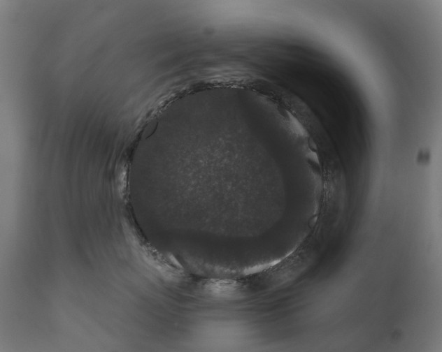 X0000111640767200907311252