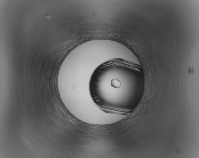 X0000111640768200907311252