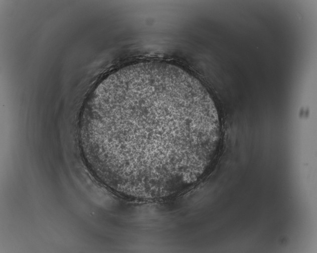 X0000111640769200907311251