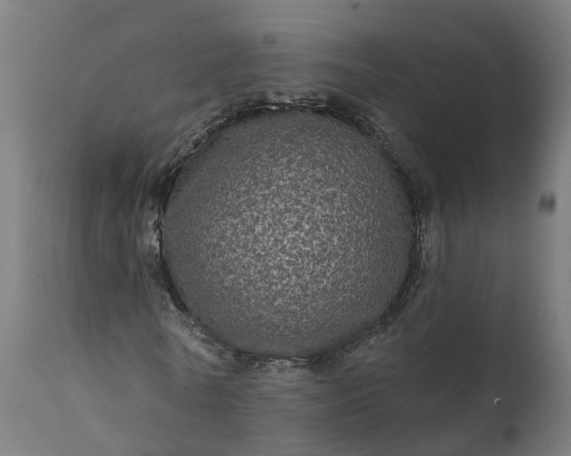 X0000111640770200907311251