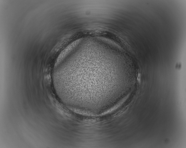 X0000111640771200907311251