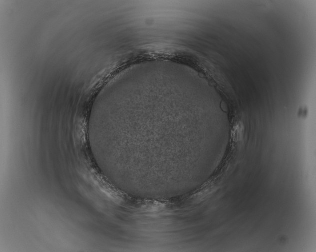 X0000111640772200907311251