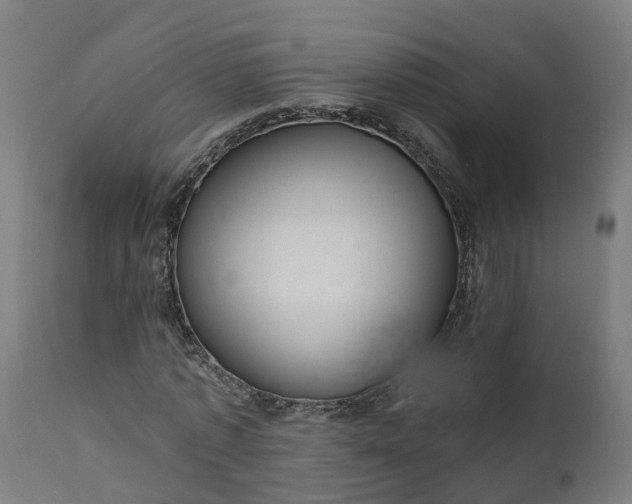 X0000111640773200907311251