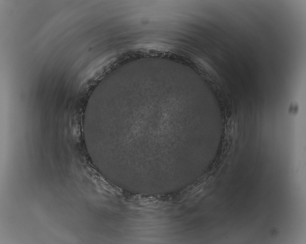 X0000111640774200907311251