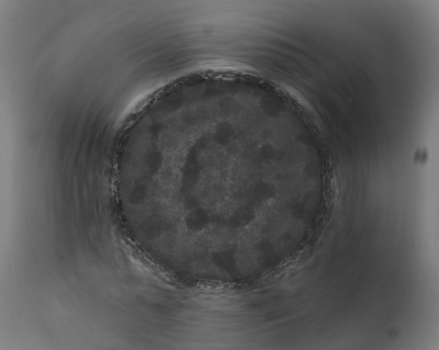 X0000111640775200907311251