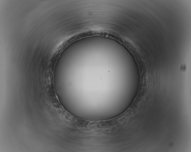 X0000111640776200907311251