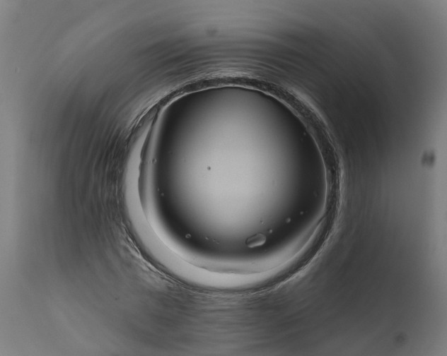 X0000111640777200907311251