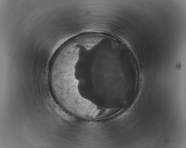 X0000111640779200907311251