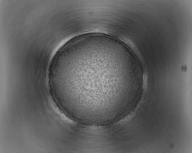 X0000111640780200907311251