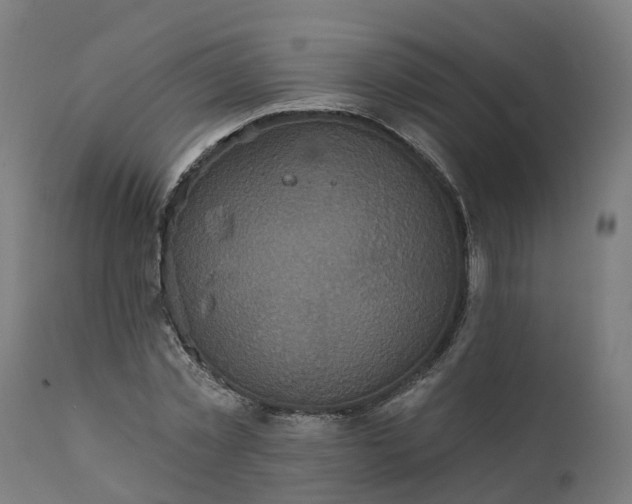 X0000111640781200907311251