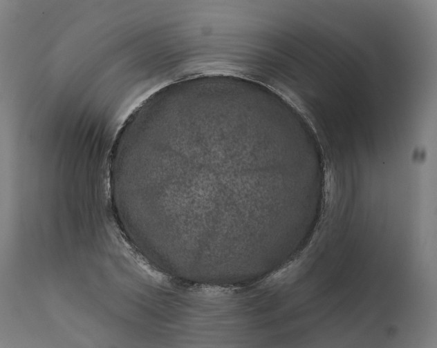 X0000111640782200907311251